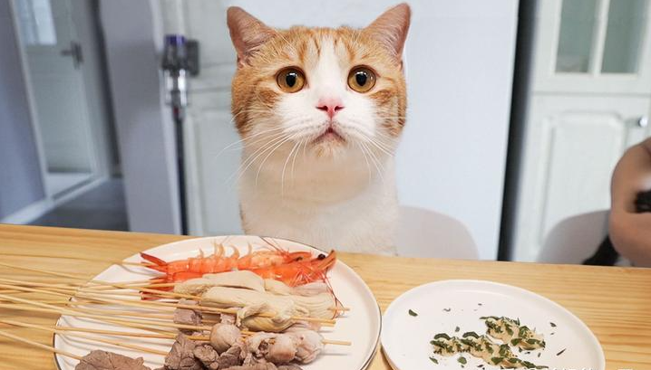 猫咪的好奇心需小心！了解这8种食物，保护它们的安全